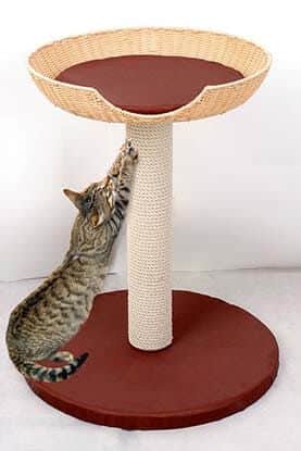 Chat poteau pour griffes